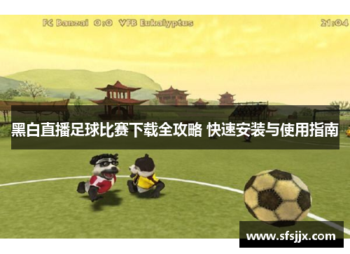 黑白直播足球比赛下载全攻略 快速安装与使用指南